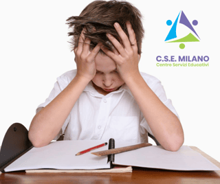 C.S.E. MILANO - CENTRO SERVIZI EDUCATIVI  COOPERATIVA SOCIALE