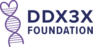 ASSOCIAZIONE DDX3X ODV