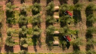 DELEGAZIONE EUROPEA PER L’AGRICOLTURA FAMIGLIARE IN ASIA, AFRICA E AMERICA LATINA ETS