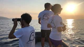 DELFINI DEL PONENTE APS