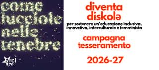 DISKOLE' APS