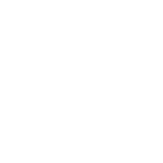 ASSOCIAZIONE ITALIANA PER LA RICERCA SULLA DISTONIA APS