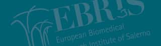 EUROPEAN BIOMEDICAL RESEARCH INSTITUTE OF SALERNO - EBRIS - ETS
