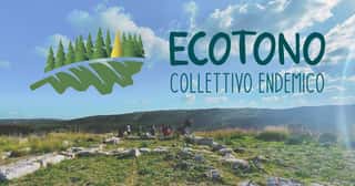 ECOTONO COLLETTIVO ENDEMICO APS
