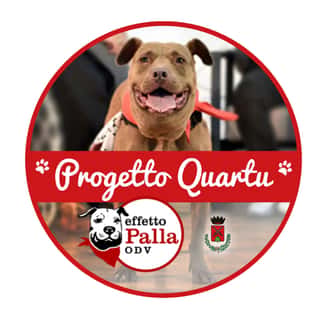 EFFETTO PALLA - PER GLI ANIMALI DI NESSUNO - ODV