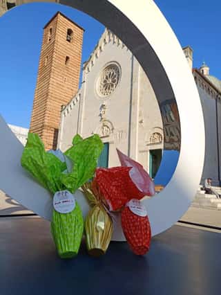 COMITATO VERSILIA PER L'EMATOLOGIA ODV
