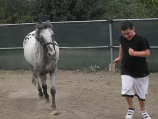EQUAMENTE-UN CAVALLO PER AMICO ASSOCIAZIONE SPORTIVA DILETTANTISTICA DI PROMOZIONE SOCIALE
