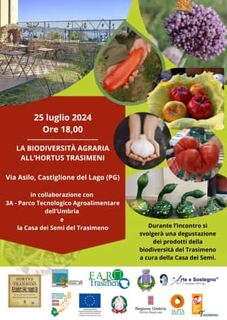 FARO TRASIMENO APS