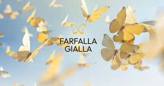FARFALLA GIALLA ASSOCIAZIONE DI PROMOZIONE SOCIALE