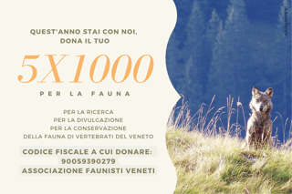 ASSOCIAZIONE FAUNISTI VENETI APS