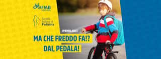 FIAB FERRARA - AMICI DELLA BICICLETTA APS