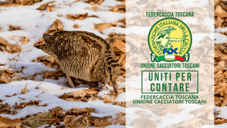 FEDERCACCIA TOSCANA - UNIONE CACCIATORI TOSCANI A.P.S.