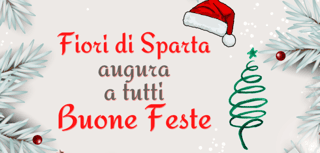 FIORI DI SPARTA COORDINAMENTO FAMIGLIE CON DISABILI DELLA COMUNITA' MONTANA DI TIRANO ODV