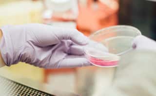 FONDAZIONE ITALIANA PER LA RICERCA SULLE MALATTIE DEL PANCREAS ETS