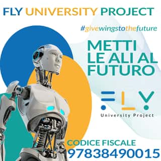 Fly University Project
