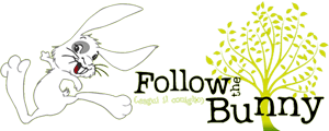 FOLLOW THE BUNNY, SEGUI IL CONIGLIO ODV