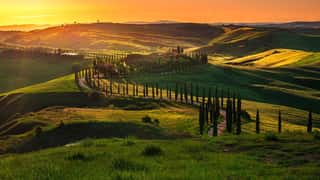 FONDAZIONE LIONS DISTRETTO  108LA (TOSCANA) - ETS