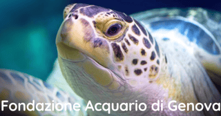 FONDAZIONE ACQUARIO DI GENOVA ENTE TERZO SETTORE