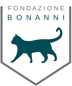 FONDAZIONE BONANNI E.T.S. - ENTE DEL TERZO SETTORE