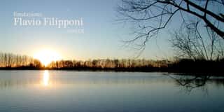 FONDAZIONE FLAVIO FILIPPONI ETS