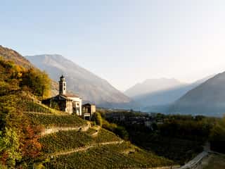 FONDAZIONE PROVINEA - VITA ALLA VITE DI VALTELLINA - ENTE DEL TERZO SETTORE