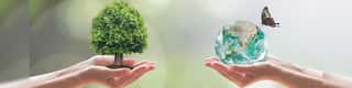 FONDAZIONE SYSTEMA NATURAE ONLUS ETS
