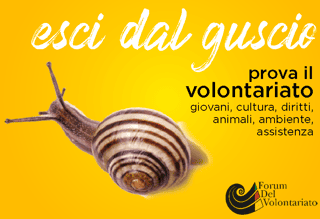 FORUM INTERREGIONALE PERMANENTE DEL VOLONTARIATO PIEMONTE E VALLE D'AOSTA ODV