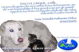 GAIA ANIMALI & AMBIENTE ODV