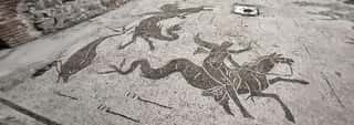 GRUPPO ARCHEOLOGICO NAPOLETANO