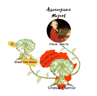 GRANDE QUERCIA APS