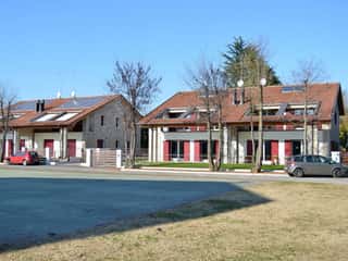 GRANELLO DI SENAPA APS