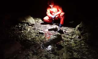 GRUPPO SPELEOLOGICO FERRARESE ODV