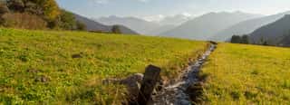 HEIMATPFLEGEVERBAND SUEDTIROL VFG