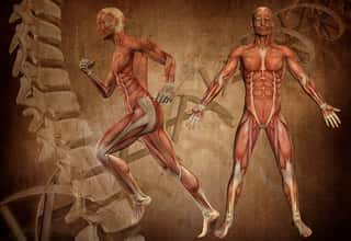 INTERNATIONAL COLLEGE OF APPLIED KINESIOLOGY - ITALIA A.P.S. E.T.S.