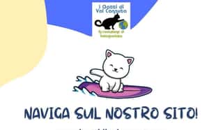 I GATTI DI VAL CANNUTA - ODV