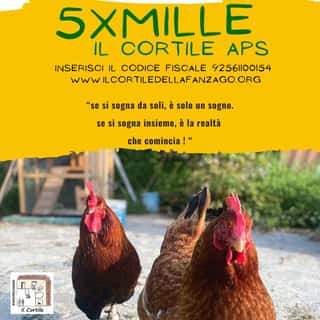 IL CORTILE - APS