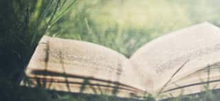 I LIBRI DI MEG