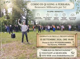 IL NIDO DELL'ANIMA APS