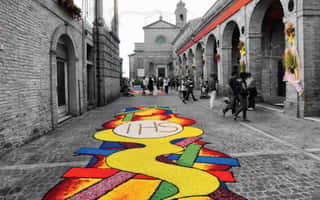 INFIORATA DI MONTEFIORE DELL'ASO ORGANIZZAZIONE DI VOLONTARIATO