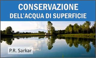 IRP - ISTITUTO DI RICERCA PROUT -APS
