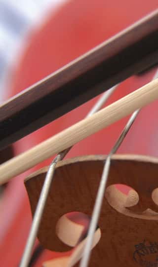 ISTITUTO DI MUSICA ANTONIO VIVALDI - MONFALCONE - ASSOCIAZIONE DI PROMOZIONE SOCIALE (APS)