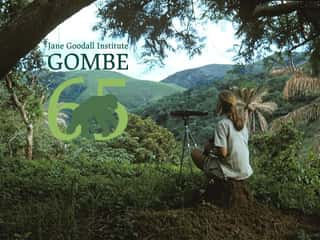 THE JANE GOODALL INSTITUTE - ITALIA / ROOTS & SHOOTS - ITALIA (ISTITUTO JANE GOODALL - ITALIA / RADICI & GERMOGLI ITALIA) ENTE DEL TERZO SETTORE
