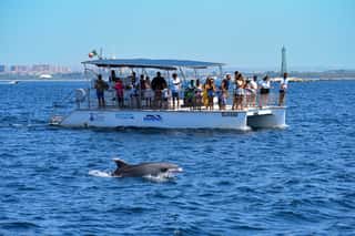 JONIAN DOLPHIN CONSERVATION