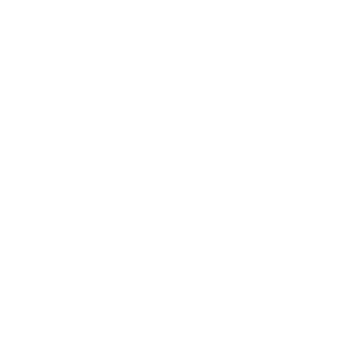 APS LYRA