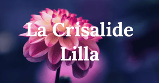 LA CRISALIDE LILLA ODV ASSOCIAZIONE FAMIGLIARI DI PERSONE AFFETTE DA DCA