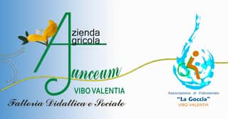 LA GOCCIA ODV