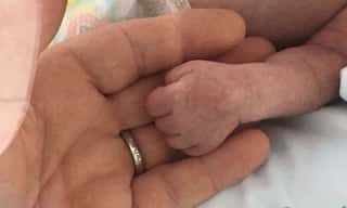 LA MANO DI STELLA ODV