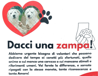 ASSOCIAZIONE  LA VOCE DEL CANE ODV