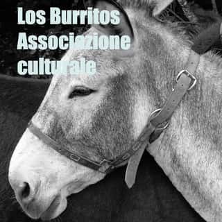 BURRITOS APS