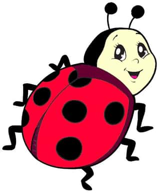 ASSOCIAZIONE PIANETA DELLE COCCINELLE APS
